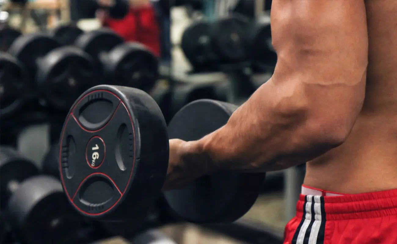 What is Lorem Ipsum?